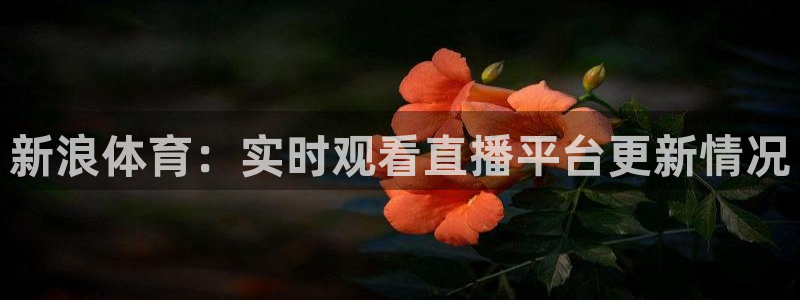 柠檬直播体育nba比赛：新浪体育：实时观看直播平台更新情况