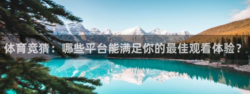 柠檬直播篮球：体育竞猜：哪些平台能满足你的最佳观看体验？