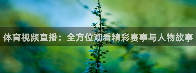 柠檬足球体育直播：体育视频直播：全方位观看精彩赛事与人物故事