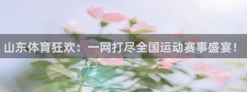 足球直播柠檬：山东体育狂欢：一网打尽全国运动赛事盛宴！