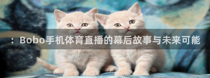 柠檬体育nba直播：：Bobo手机体育直播的幕后故事与未来可能