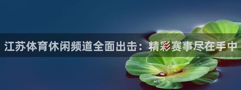 柠檬直播体育篮球：江苏体育休闲频道全面出击：精彩赛事尽在手中