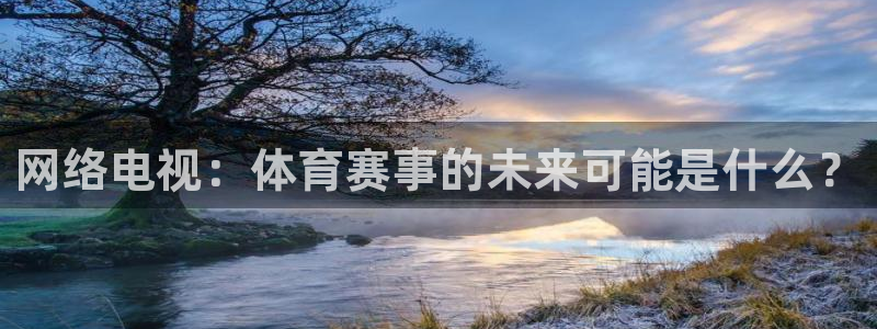 柠檬足球直播免费观看直播：网络电视：体育赛事的未来可能是什么？
