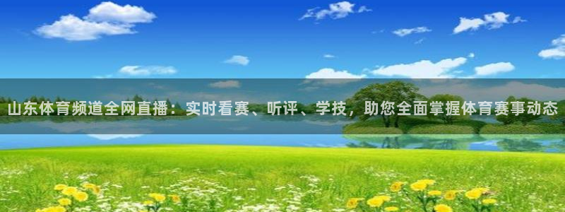 柠檬体育：山东体育频道全网直播：实时看赛、听评、学技，助您全面掌握体育赛事动态